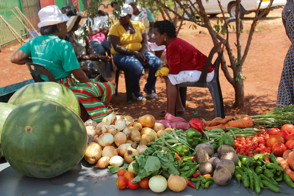 Livraison de fruits et légumes bio à domicile en Afrique