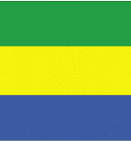 Annuaire de Commerce du Gabon