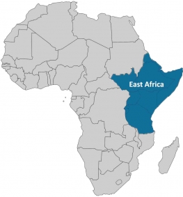 Afrique de l'Est Liste d'entreprises