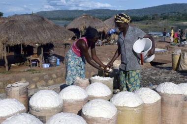Creation d'unité de transformation du manioc en Gari et en farine panifiable de haute qualité