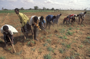 Modernisation de l'agriculture industrielle en Afrique