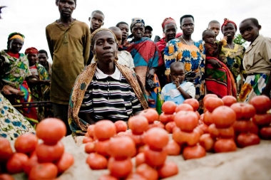 Transformation de la tomates en conserve en Afrique