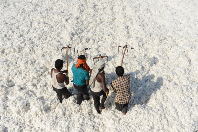 Creation d'unité de transformation du coton en Afrique